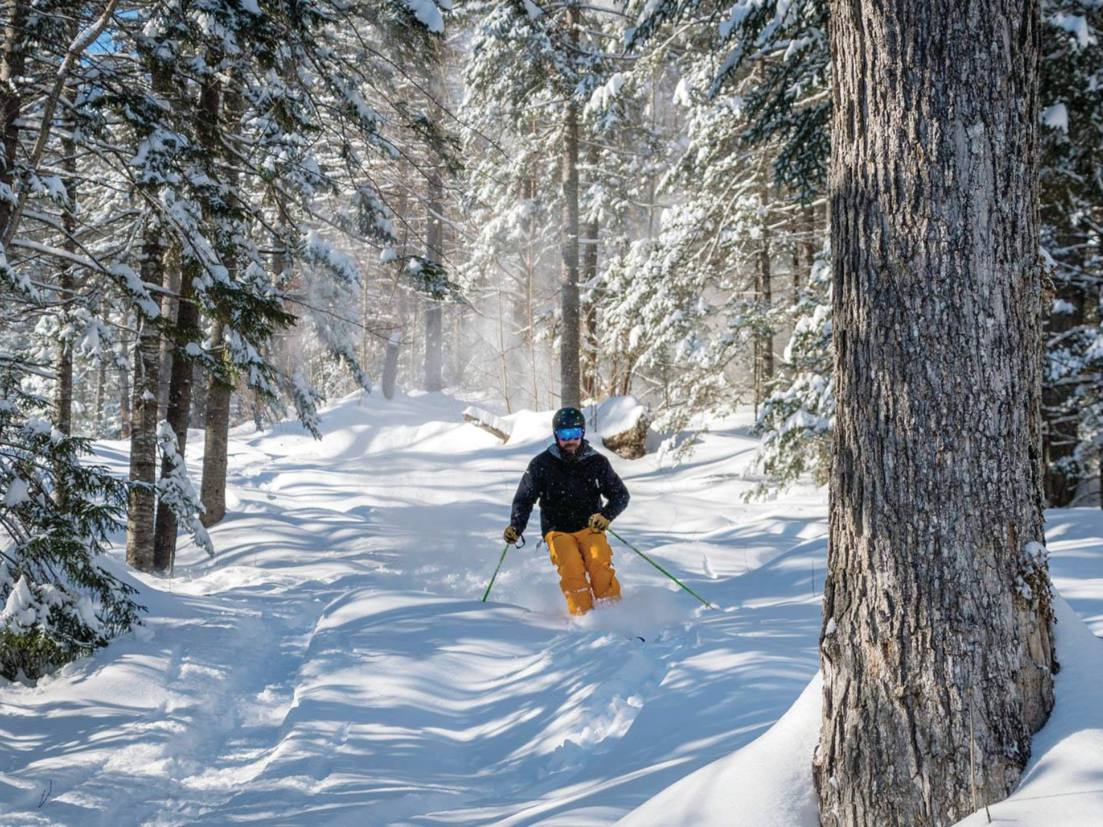 Skiing at Black Mountain